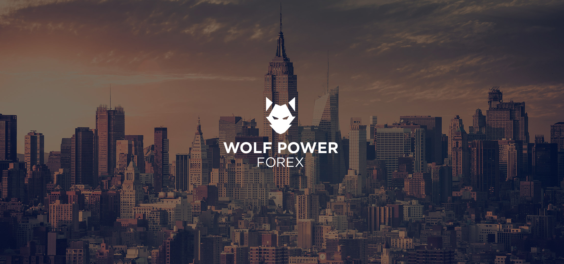 Wolf Power Forex