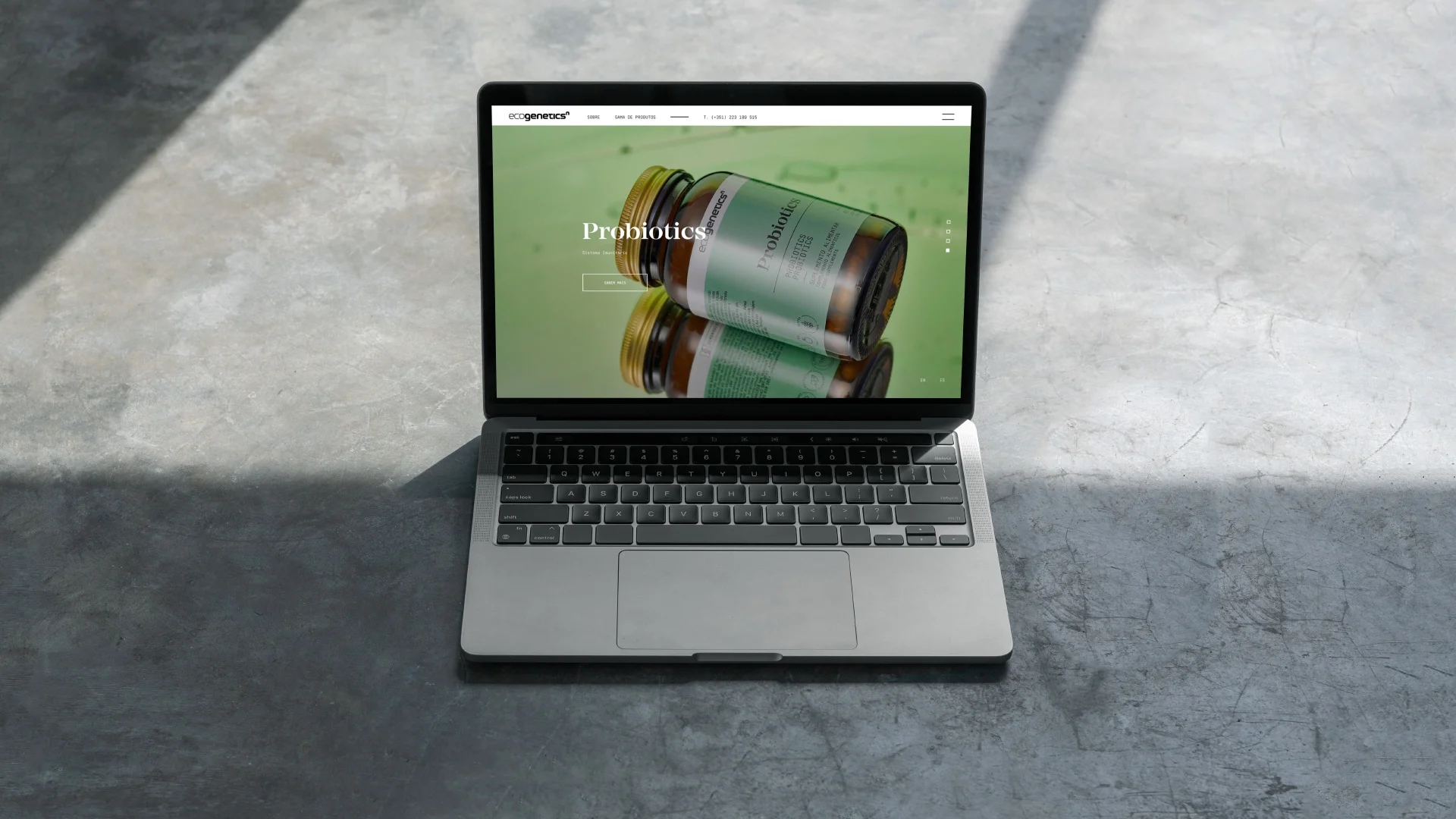 Nhdesign project EcogeneticsN: Laptop on the EcogeneticsN website.