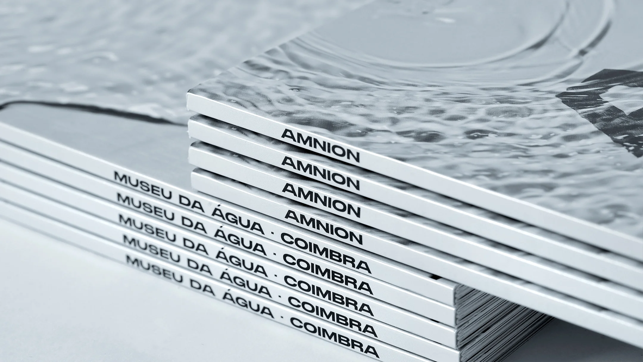 Projeto Amnion da Nhdesign: Pormenor da lombada do catálogo Amnion