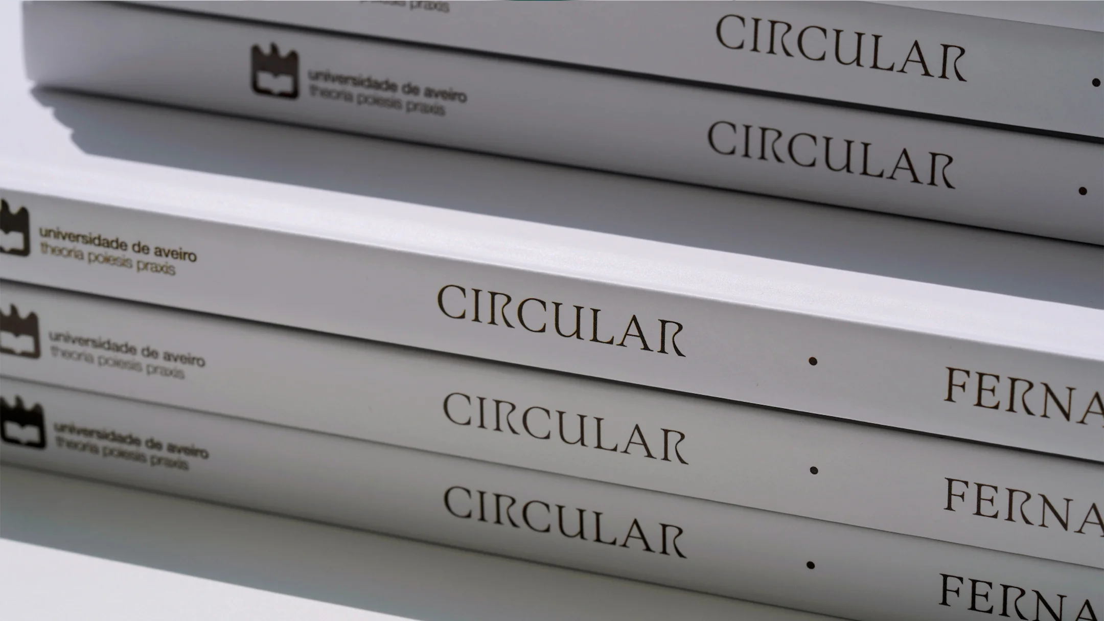 Nhdesign project Circular: Spine of the Fernando Barros catalog