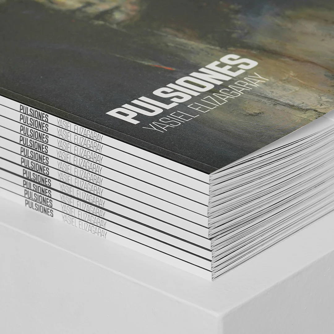 Nhdesign project Pulsiones: Detail of the Pulsiones catalog